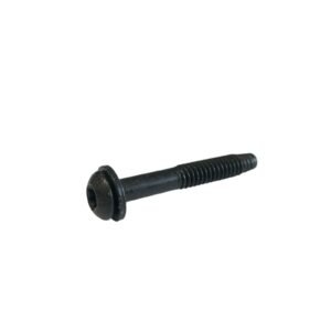 Screw 10200059